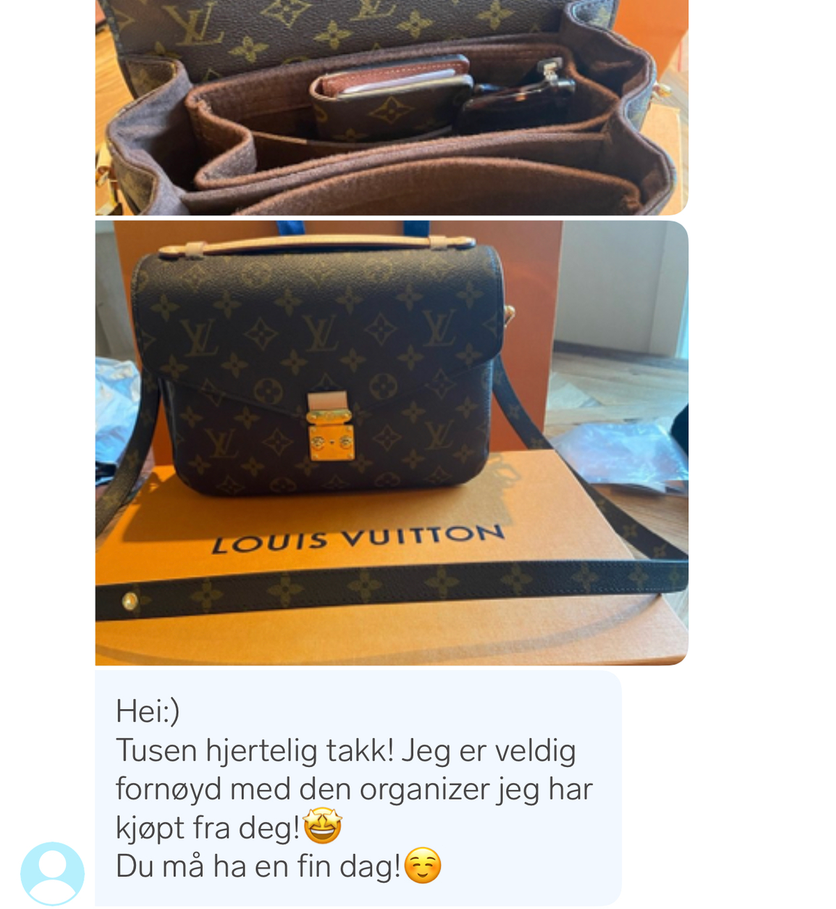 Organizere tilpasset Louis Vuitton Pochette Metis